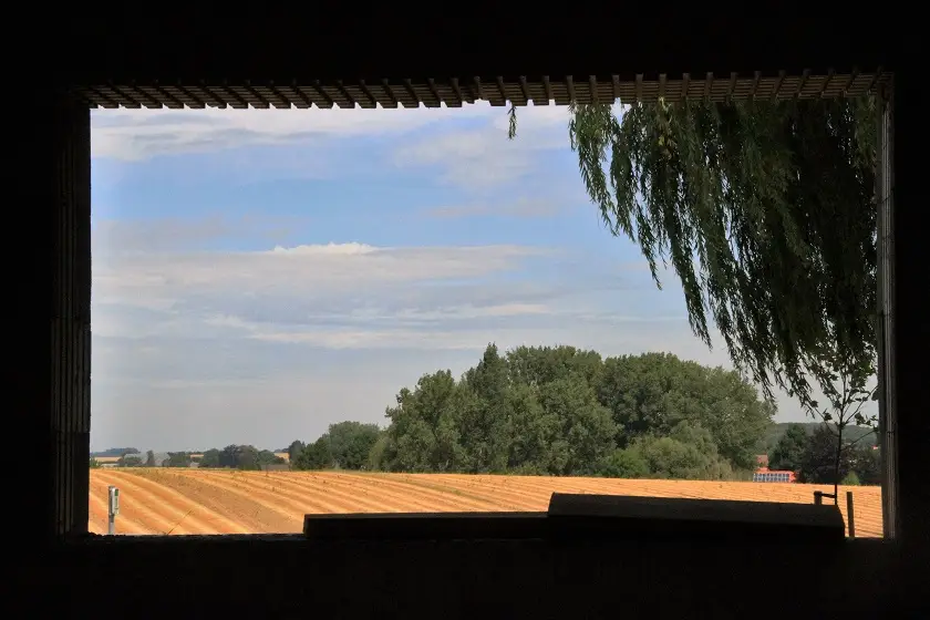 La vue est agréable de notre coin bureau ! De quoi travailler en toute sérénité !